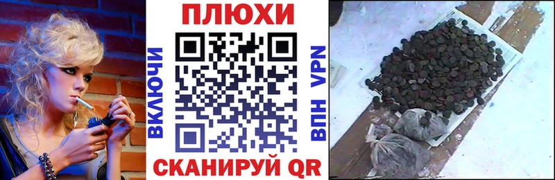 Купить  Жуков  Гашиш hashish 
