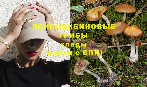 дживик Заволжск