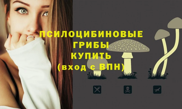 гашик Заводоуковск