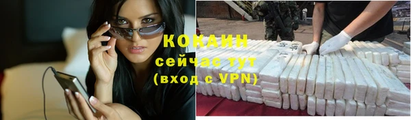 гашик Заводоуковск
