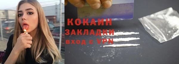 гашик Заводоуковск