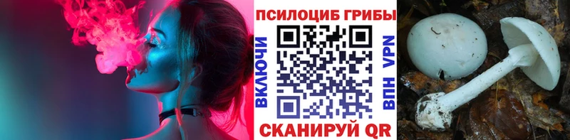 Купить  Жуков  Галлюциногенные грибы прущие грибы 