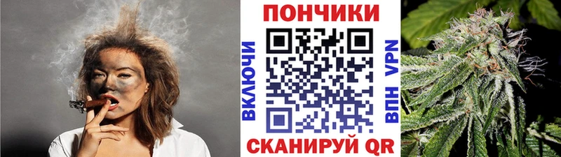 Каннабис OG Kush Жуков